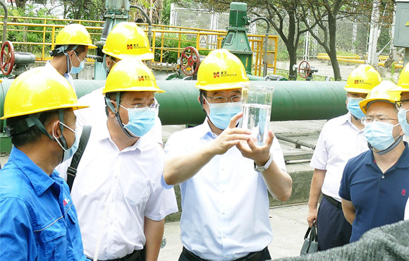 集团公司党委常委、副总经理胡乃民调研LETOU乐投麦王环境