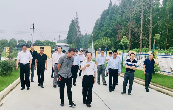 LETOU - 乐投(中文)官方网站